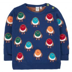 Frugi Jolly Robins Jumper